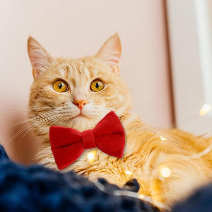 2 Pcs Velvet Cat Collar Cute Cat Bow Tie Collar Adjustable Breakaway Collars - Image 6