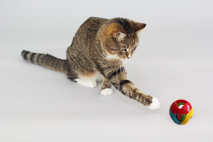 SIMENA Parrot Ball Toy with Bell, Cage Hanging Accessories - Image 6