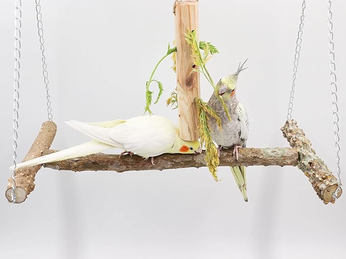 Large Bird Perch Swing Toy, Natural Pepper Wood Parrot Perch Stand Toy - Image 5