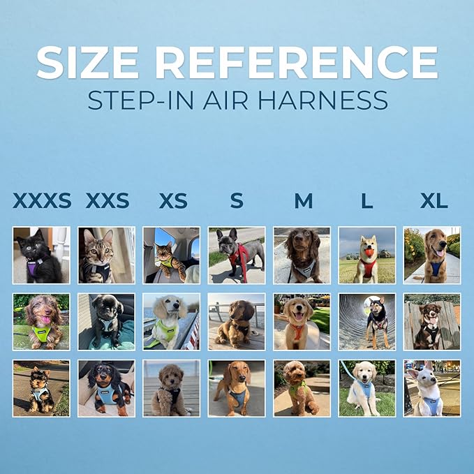 Best Pet Supplies - Image 6