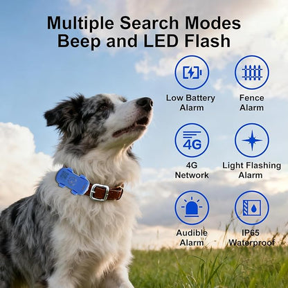 GPS Tracker for Dogs & Cats Pet GPS Location Tracker - Image 3
