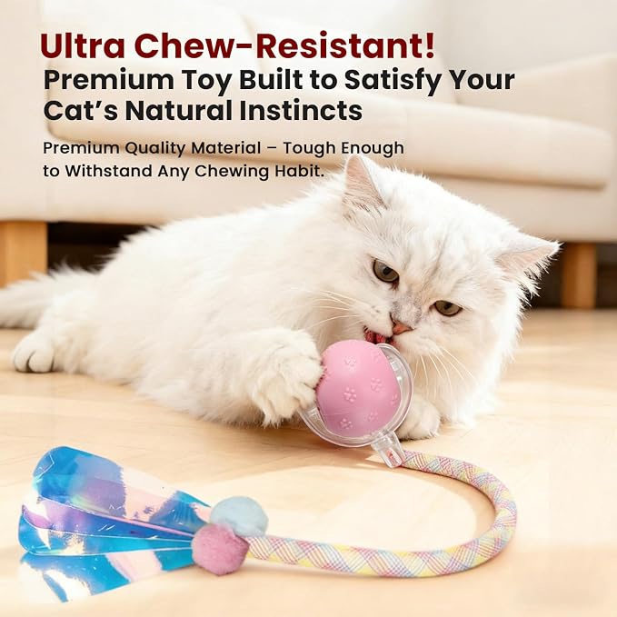 Rocfish Durable Interactive Cat Toys - Image 5