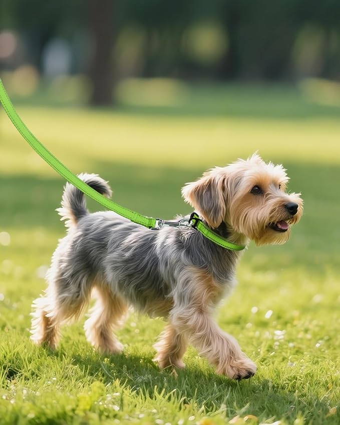 Joytale Small Dog Collar, Reflective and Adjustable Nylon Collar - Image 6