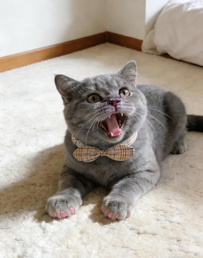 Cotton Bowtie Cat Collar with Bell 2 Pack Plaid Breakaway Kitten Collars with - Image 5