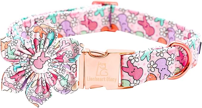 Lionheart glory Easter Day Dog Collar by LionheartGlory