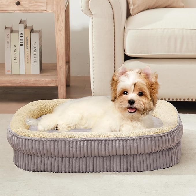 Orthopedic Dog Bed for Small Dogs Breeds, High Density Egg Crate Foam Dog Sofa by DEBANGHOME