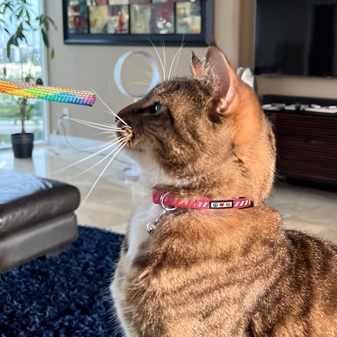 Pawtitas Personalized Cat Collar - Image 9