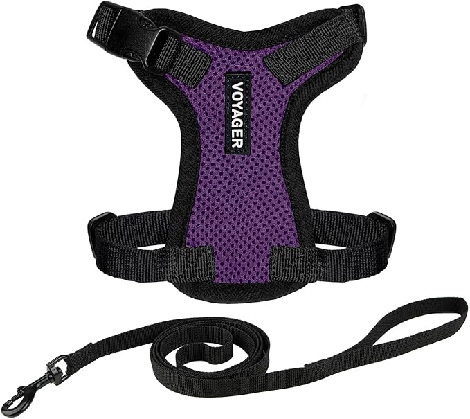 Voyager Escape-Proof Step-in Lock Cat Harness & 5ft Neoprene-Handle Leash Set by BestPetSuppliesLLC
