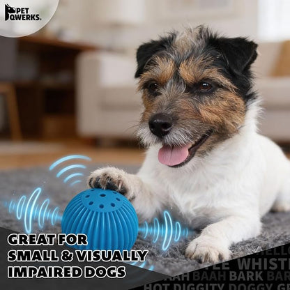Pet Qwerks Talking Babble Ball - Image 5