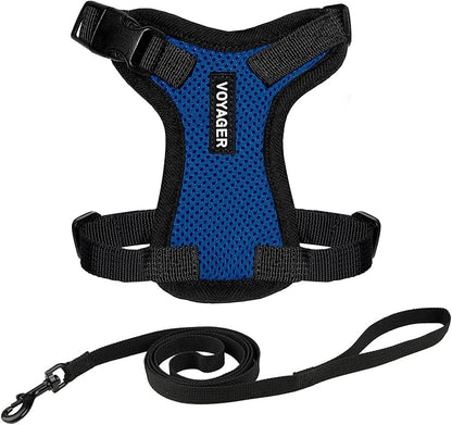 Voyager Escape-Proof Step-in Lock Cat Harness & 5ft Neoprene-Handle Leash Set by BestPetSuppliesLLC
