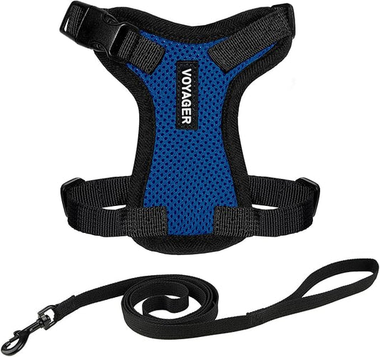 Voyager Escape-Proof Step-In Lock Cat Harness & 5ft Neoprene-Handle Leash Set by BestPetSuppliesLLC