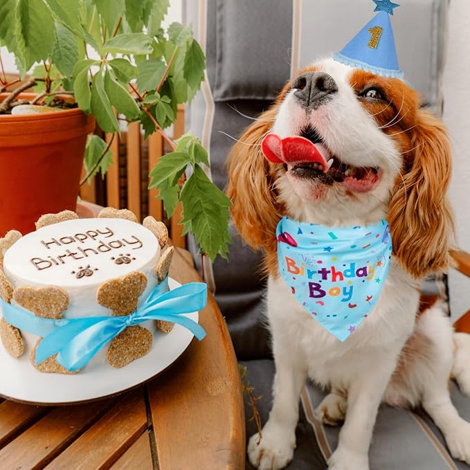 Dog Birthday Bandana Set, Dog Birthday Party Supplies, Puppy Boy Girl Birthday - Image 7