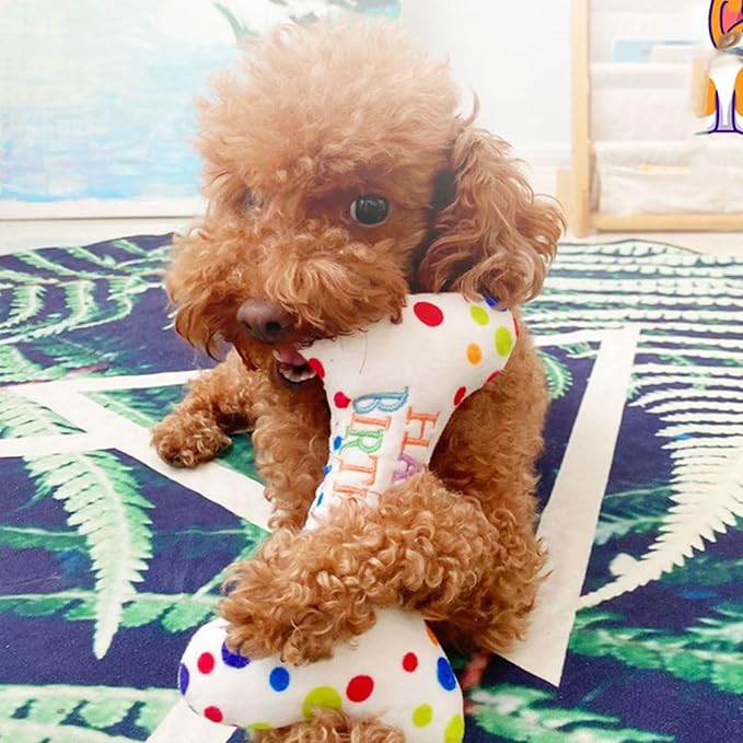 Puppy Chew Toys, Durable Fabric Indestructible Squeaky Dog Toy - Image 7