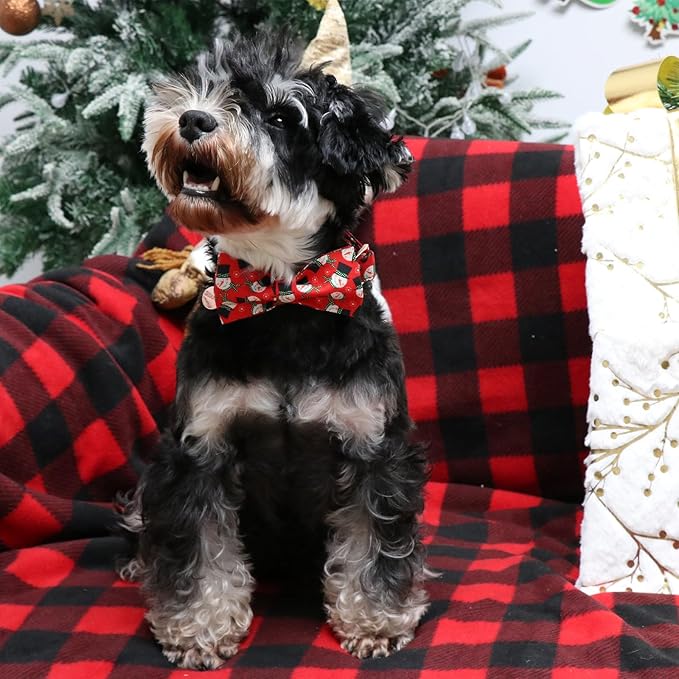 Christmas Dog Collar with Bow Tie, Christmas Collar - Image 5