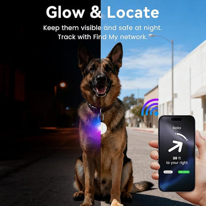 2-in-1 GPS Tracker & Dog Light - Image 5