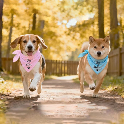 Big Sister and Big Brother Pet Dog Bandana, Triangle Scarf - Image 5