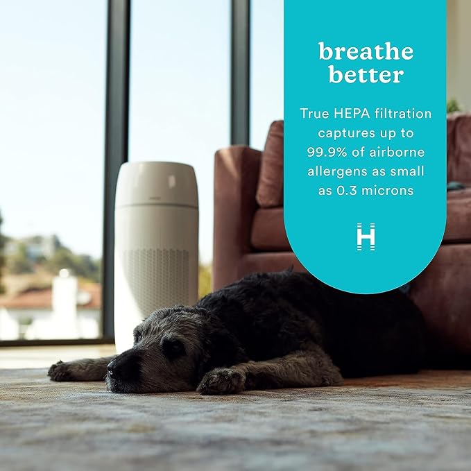 Homedics 5-in-1 PetPlus UV-C Air Purifier - Image 8