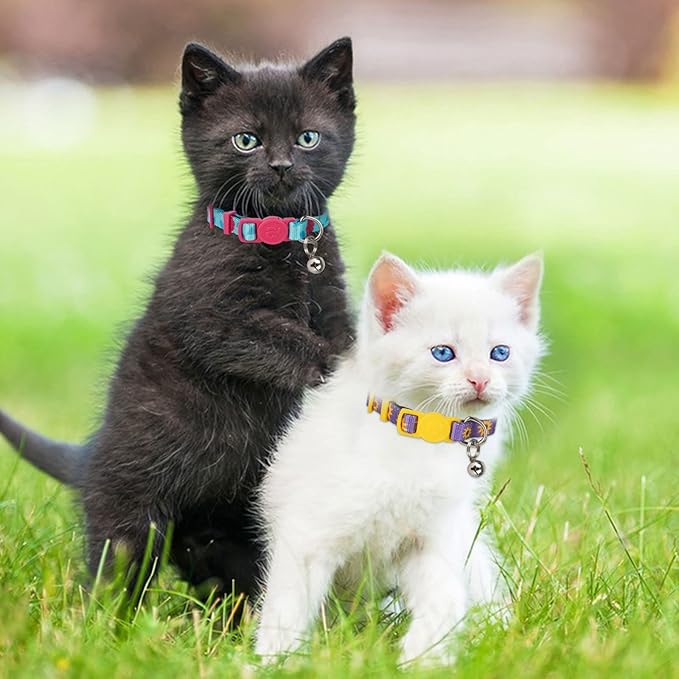 azuza 4 Pack Kitten Collar Breakaway - Image 3