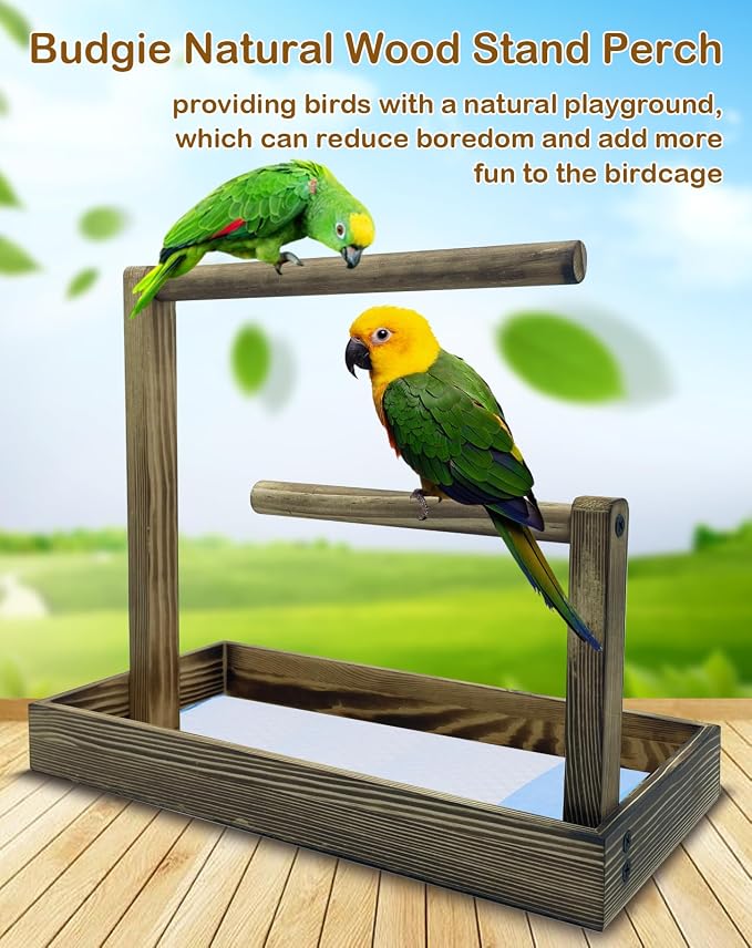 8 Pcs Small Bird Training Stand Set Portable Tabletop Birds Perch Desktop - Image 3