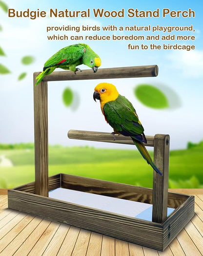 8 Pcs Small Bird Training Stand Set Portable Tabletop Birds Perch Desktop - Image 3