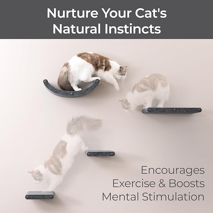 Wall Mounted Cat Shelves by Pryde Pets - Image 5