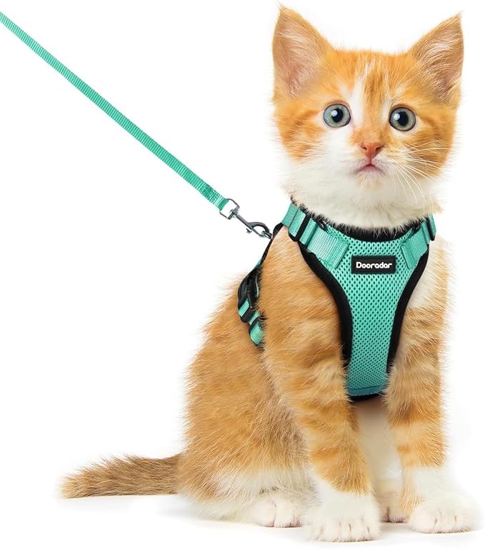 Dooradar Cat Harness and Leash Set, Escape Proof Safe Adjustable Kitten Vest by Dooradar
