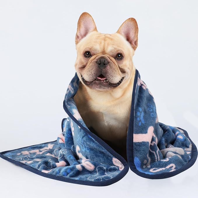 Luciphia 1 Pack 3 Blankets Fluffy Premium Fleece Pet Blanket Flannel Paw Bone - Image 5