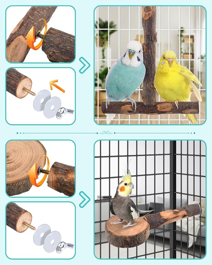 Bird Perches - Image 2