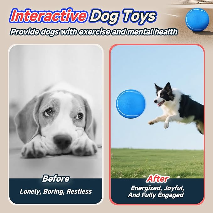 HETOO Dog Tennis Balls: Large 9.5 inch Herding Dog Toys Balls- Giant Outdoor - Image 7