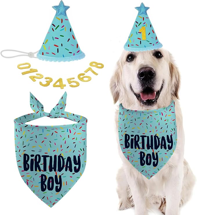 Dog Birthday Bandana Set, Light Blue Birthday Boy Decorations, HBD Party by GHSJYOHomeDecoration