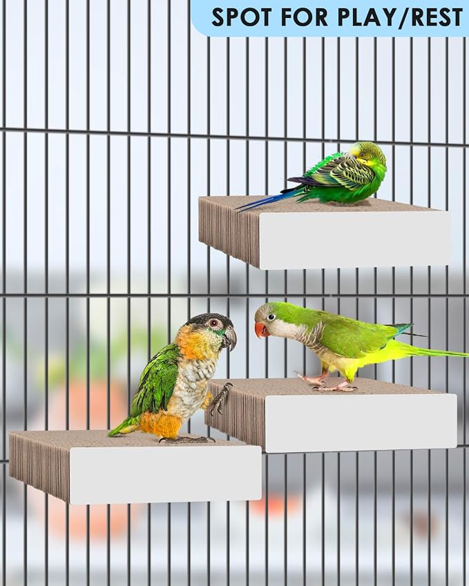 KATUMO Parrot Toys, 7 Inch Conure Shredder Foraging Toys Bird Perch Stand - Image 5