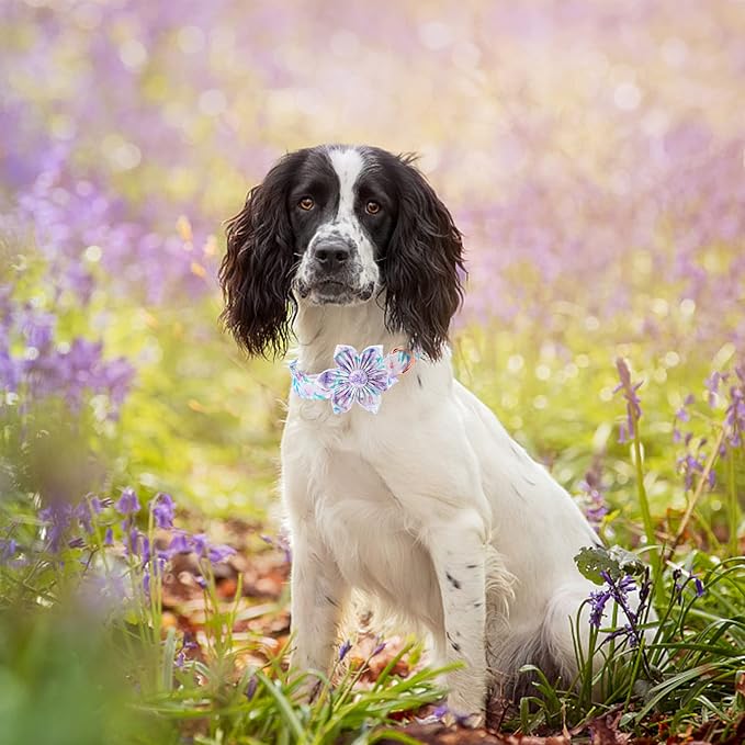 Lionheart Glory Dog Collar, Cute Floral Pattern Pet Collar Adjustable Dog Collar - Image 5