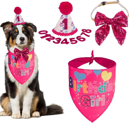 PTDECOR Dog Birthday Party Supplies, Girl Dog Birthday Hat by PTDECOR