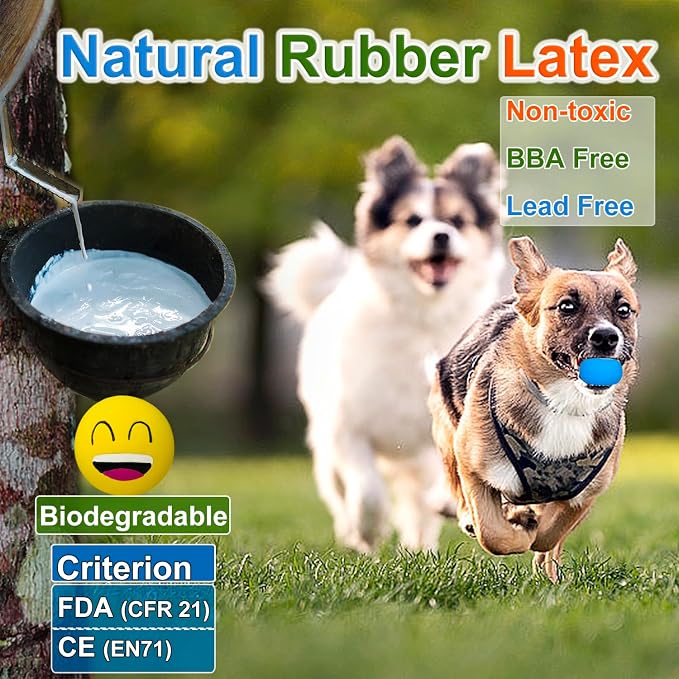 Latex Squeaky Dog Toys for Small Dogs & Mini Breeds - Image 3