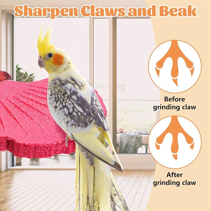 3 Pcs Parrot Perch Resin Bird Beak Grinding Stone Leaf Shape Perch Stand Foot - Image 5