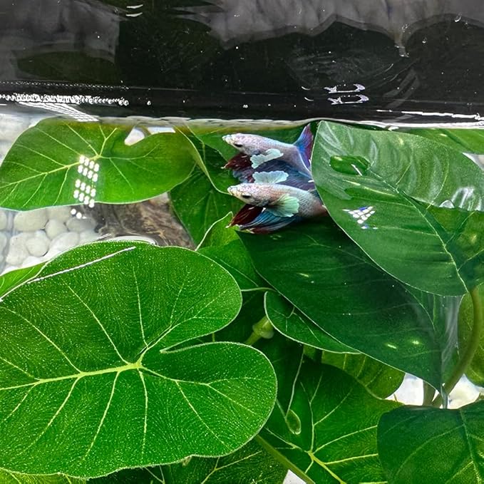 Smoothedo-Pets Fish Tank Decor Aquarium Decorations Ornaments Betta Leaf pad - Image 6