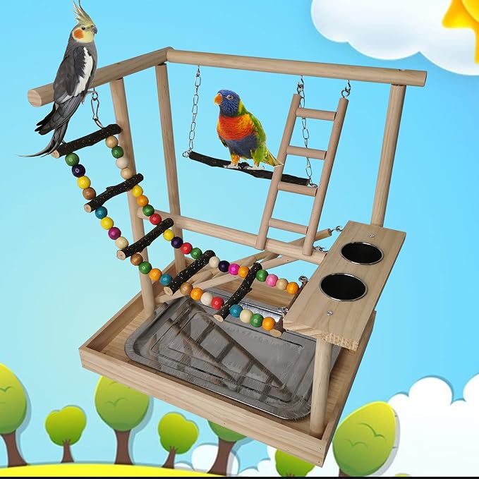 Hamiledyi Parrots Playground Bird Play Gym Wood Perch Stand Colours Climb - Image 7