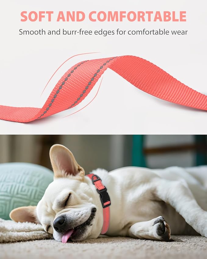 Joytale Small Dog Collar, Reflective and Adjustable Nylon Collar - Image 3
