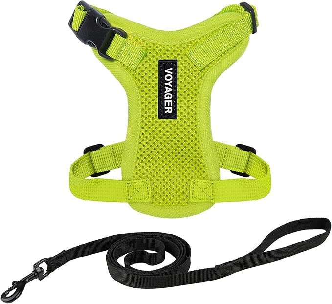 Voyager Escape-Proof Step-in Lock Cat Harness & 5ft Neoprene-Handle Leash Set by BestPetSuppliesLLC