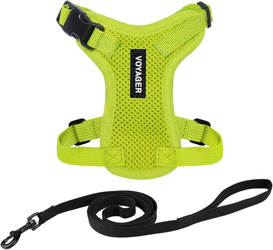 Voyager Escape-Proof Step-in Lock Cat Harness & 5ft Neoprene-Handle Leash Set by BestPetSuppliesLLC