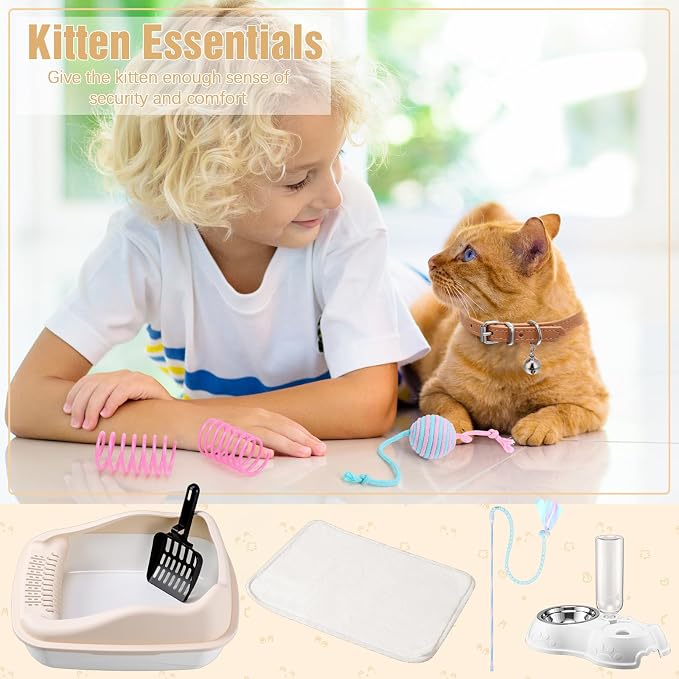 Eccliy Kitten Starter Kit, Pet Toy, Folding Carrier, Climbing Frame, Automatic - Image 5
