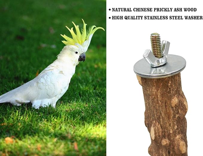 Large Natural Pepper Wood Parrot Stand Branch, Wooden Perch - Image 5