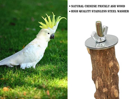 Large Natural Pepper Wood Parrot Stand Branch, Wooden Perch - Image 5