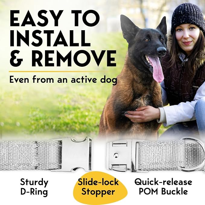 PetJett Prong Collar for Dogs - Image 5