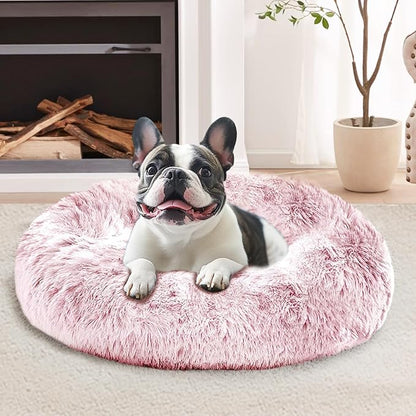JOLLYVOGUE Calming Dog Bed for Small Dogs by JOLLYVOGUE