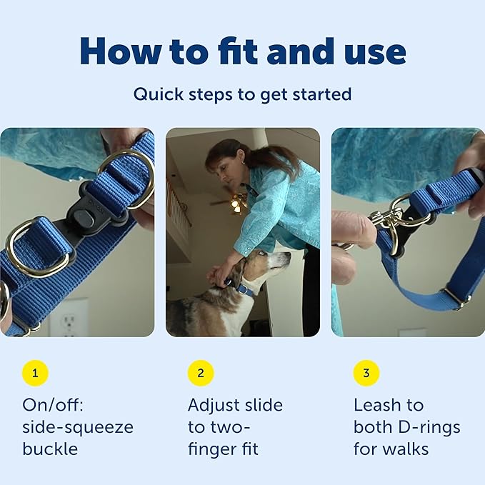 PetSafe KeepSafe Collar for Dogs - Image 6