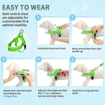 SlowTon No Pull Small Dog Harness and Leash Set, Puppy Soft Vest Harness Neck & - Image 9