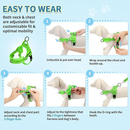 SlowTon No Pull Small Dog Harness and Leash Set, Puppy Soft Vest Harness Neck & - Image 9