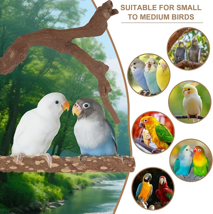 Parrot Perch Bird Perch Stand Set Natural Wild Wood Grape Sticks Paw Grinding - Image 7
