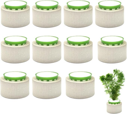 12 Pack Aquarium Plant Weights, Aquatic Plants Fixed Ring Set, Anti-Floating by SimpleLifeRicherHeart